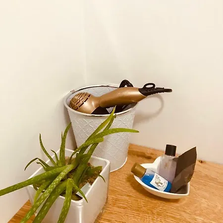 Apartamento Castle